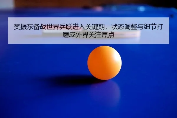 樊振东备战世界乒联进入关键期，状态调整与细节打磨成外界关注焦点 | maiqiuzhan
